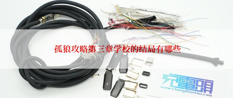 孤狼攻略第三章学校的结局有哪些