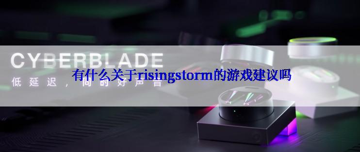 有什么关于risingstorm的游戏建议吗