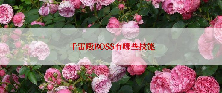 千雷殿BOSS有哪些技能