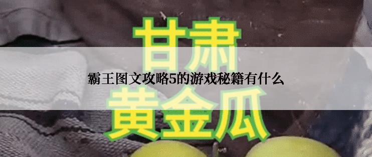 霸王图文攻略5的游戏秘籍有什么