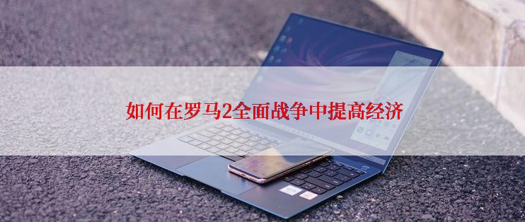 如何在罗马2全面战争中提高经济