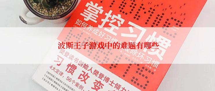  波斯王子游戏中的难题有哪些