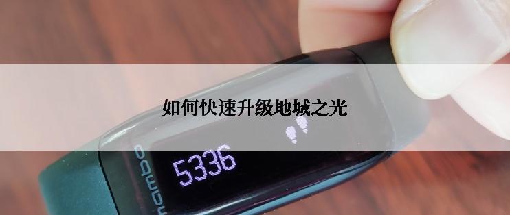 如何快速升级地城之光