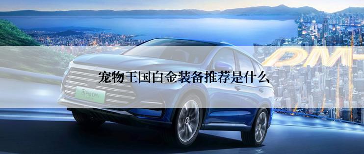  宠物王国白金装备推荐是什么