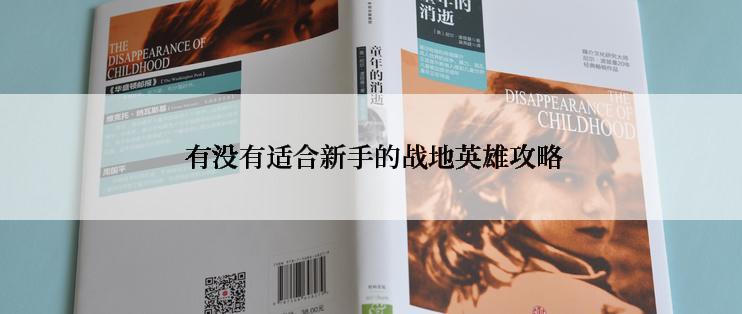  有没有适合新手的战地英雄攻略