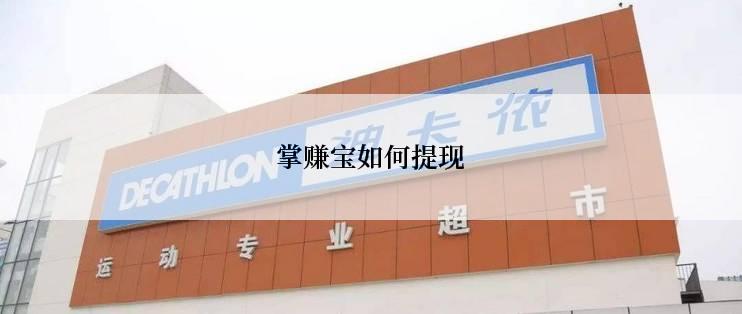 掌赚宝如何提现