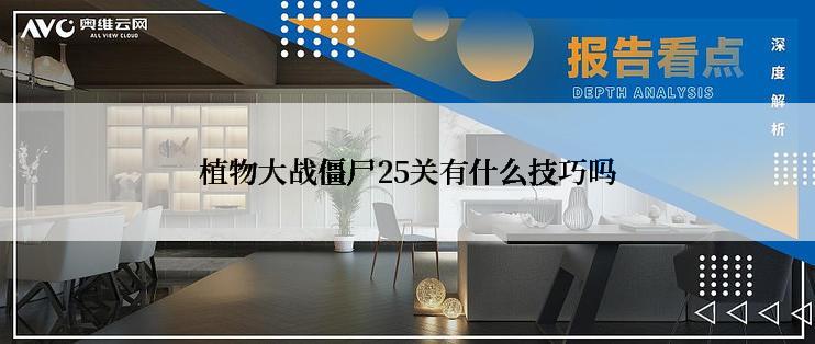 植物大战僵尸25关有什么技巧吗