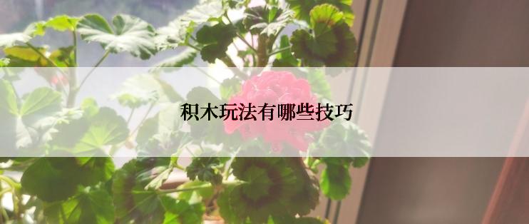  积木玩法有哪些技巧