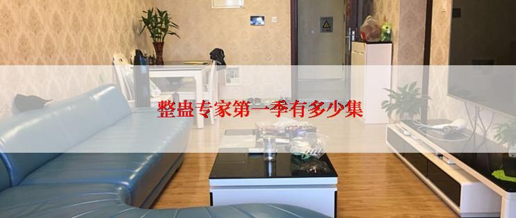  整蛊专家第一季有多少集