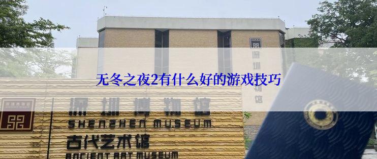 无冬之夜2有什么好的游戏技巧