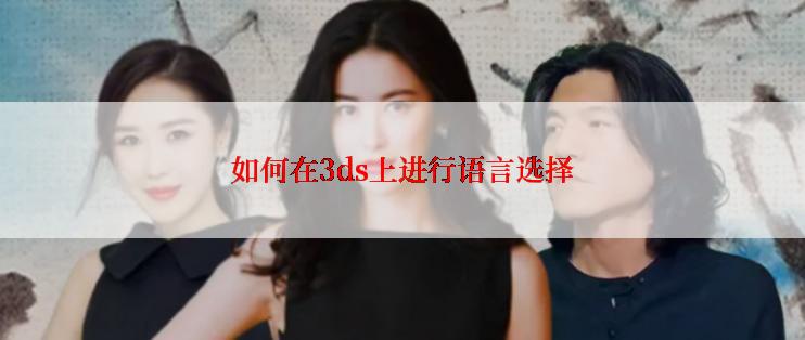 如何在3ds上进行语言选择