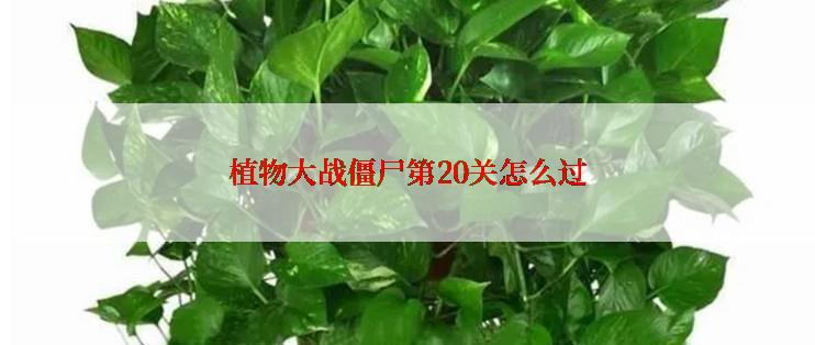 植物大战僵尸第20关怎么过