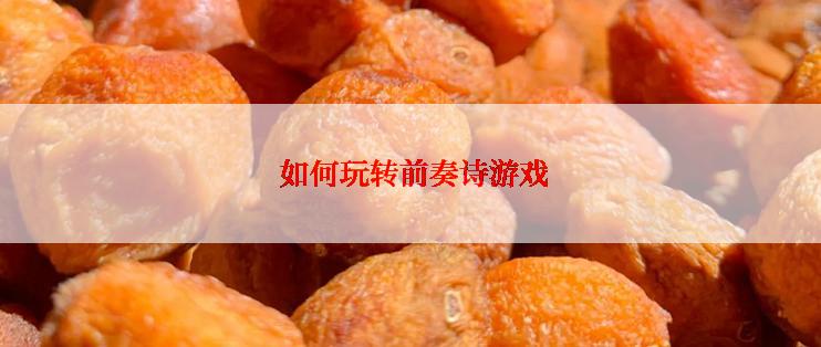  如何玩转前奏诗游戏