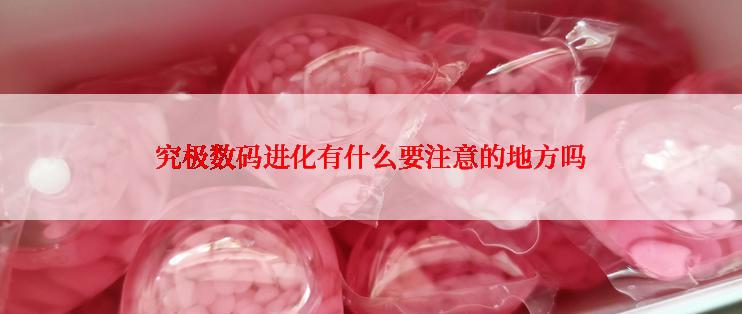 究极数码进化有什么要注意的地方吗