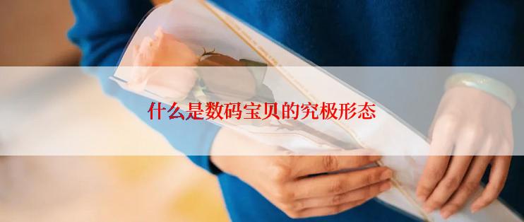 什么是数码宝贝的究极形态