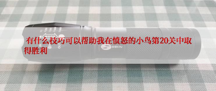  有什么技巧可以帮助我在愤怒的小鸟第20关中取得胜利