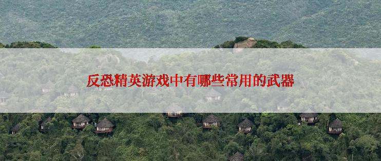 反恐精英游戏中有哪些常用的武器