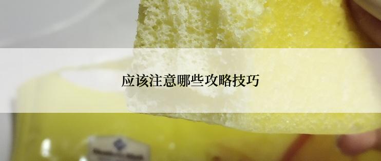 应该注意哪些攻略技巧
