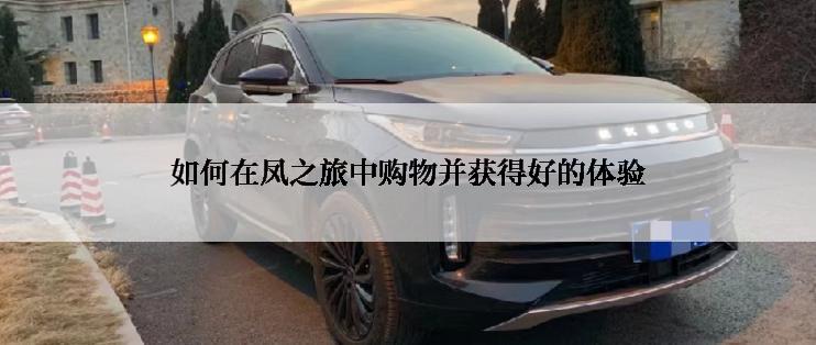 如何在凤之旅中购物并获得好的体验