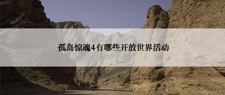  孤岛惊魂4有哪些开放世界活动