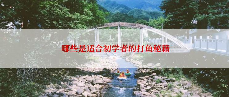  哪些是适合初学者的打鱼秘籍
