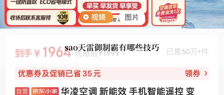 sao天雷御制霸有哪些技巧