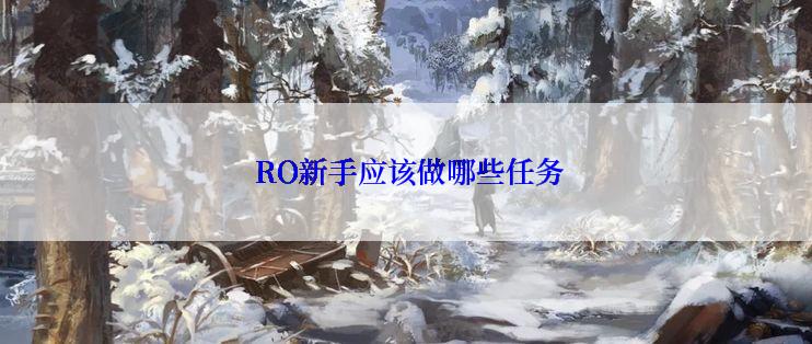  RO新手应该做哪些任务