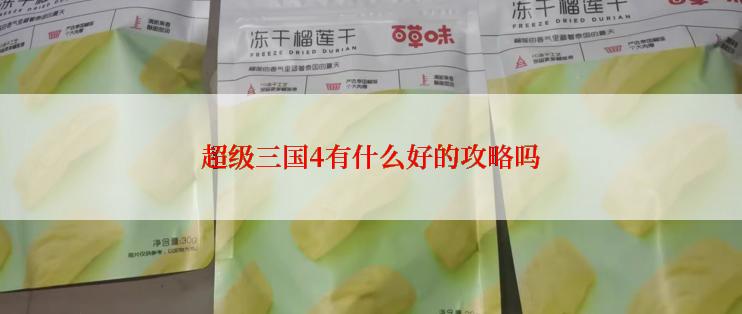 超级三国4有什么好的攻略吗