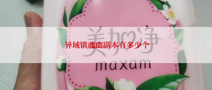  异域镇魂曲副本有多少个