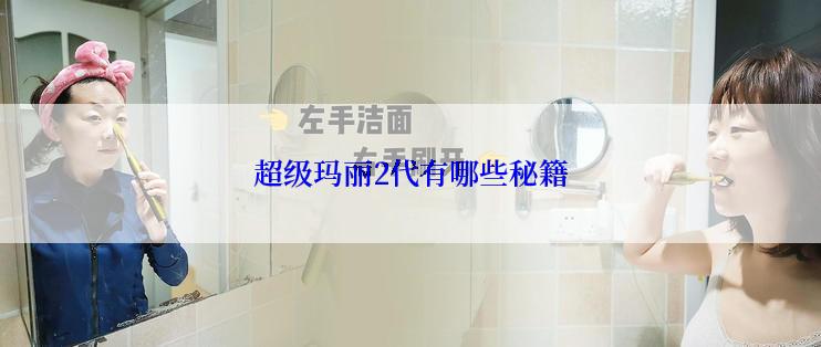 超级玛丽2代有哪些秘籍