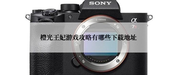 橙光王妃游戏攻略有哪些下载地址