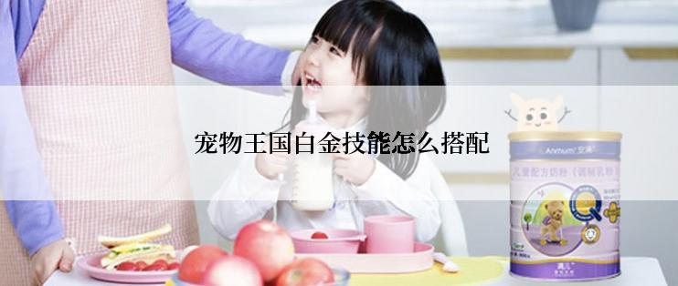  宠物王国白金技能怎么搭配