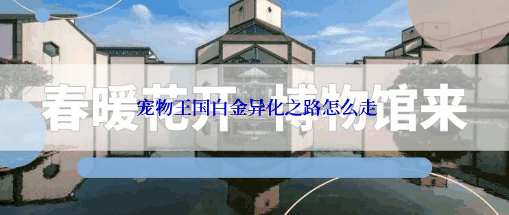  宠物王国白金异化之路怎么走