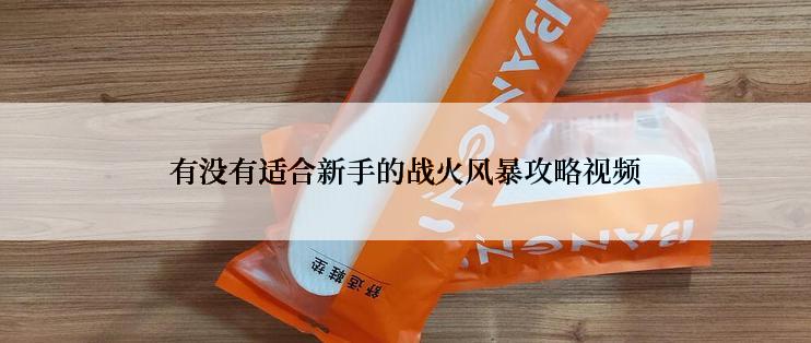 有没有适合新手的战火风暴攻略视频