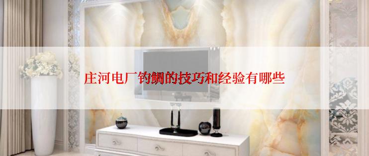 庄河电厂钓鲷的技巧和经验有哪些