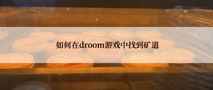  如何在droom游戏中找到矿道
