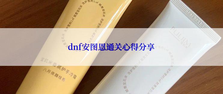 dnf安图恩通关心得分享