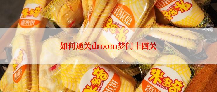 如何通关droom梦门十四关
