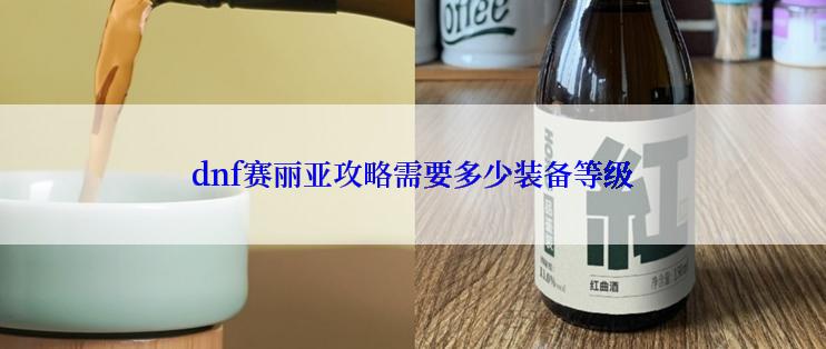 dnf赛丽亚攻略需要多少装备等级