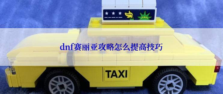 dnf赛丽亚攻略怎么提高技巧