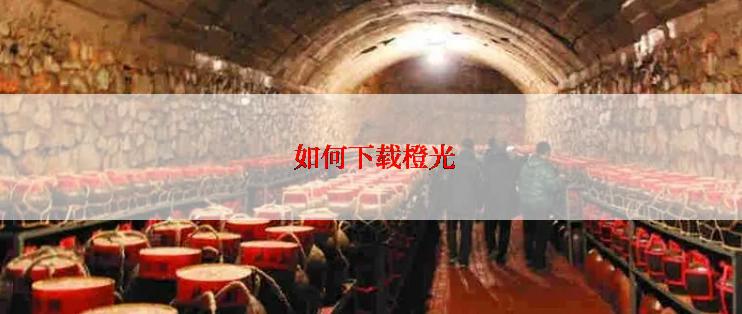  如何下载橙光