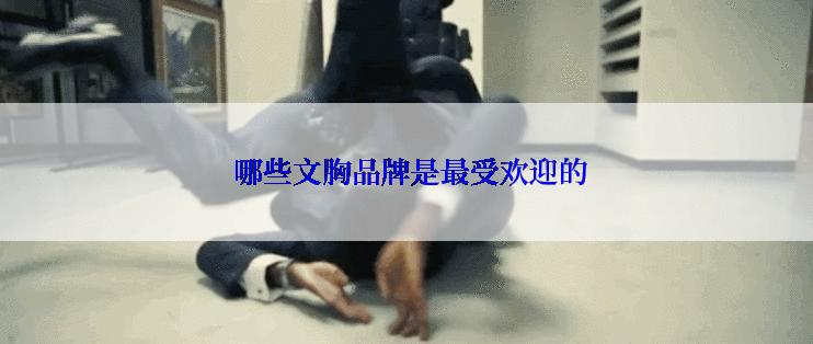  哪些文胸品牌是最受欢迎的