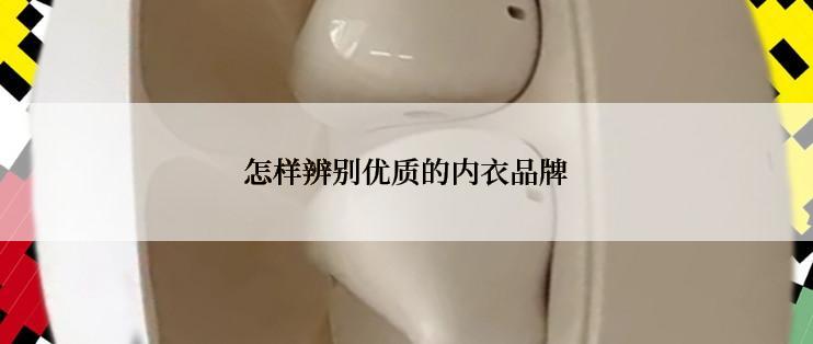 怎样辨别优质的内衣品牌