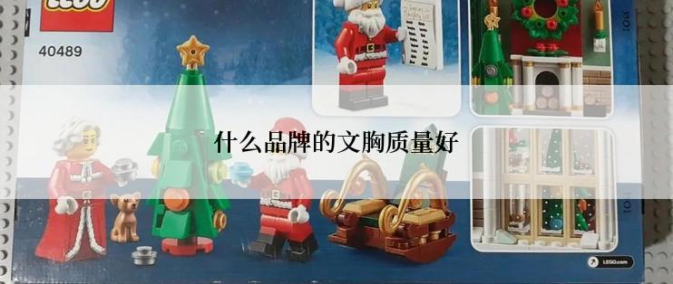 什么品牌的文胸质量好
