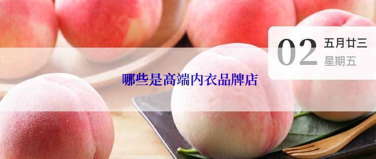  哪些是高端内衣品牌店