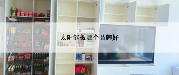 太阳能板哪个品牌好