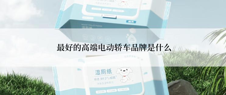  最好的高端电动轿车品牌是什么