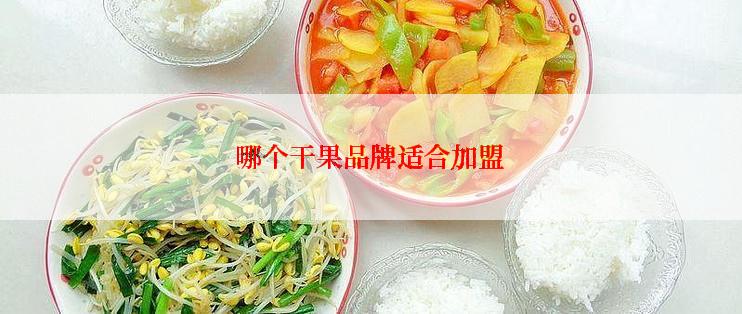 哪个干果品牌适合加盟