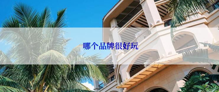  哪个品牌很好玩