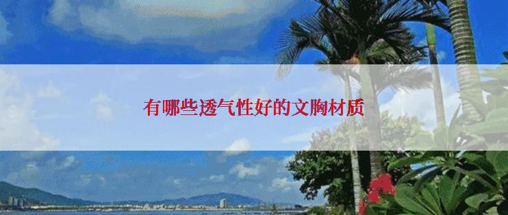 有哪些透气性好的文胸材质
